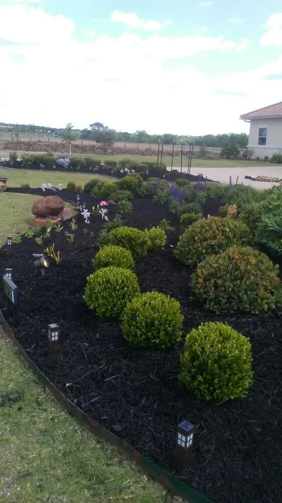 Affordable yard cleanup service experts serving Allen, TX - EZ Landscape & Tree Services