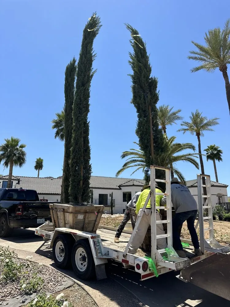 Professional lawn care service experts serving Litchfield Park, AZ - EZ Landscape and Maintenance