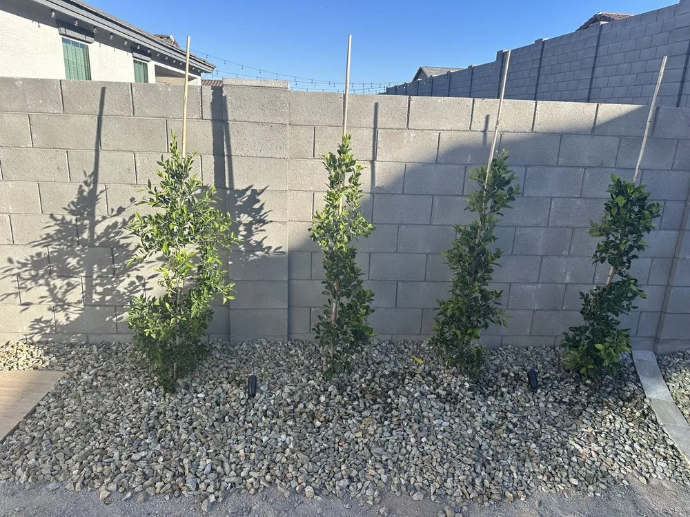 Professional residential landscaping in Litchfield Park, AZ by EZ Landscape and Maintenance