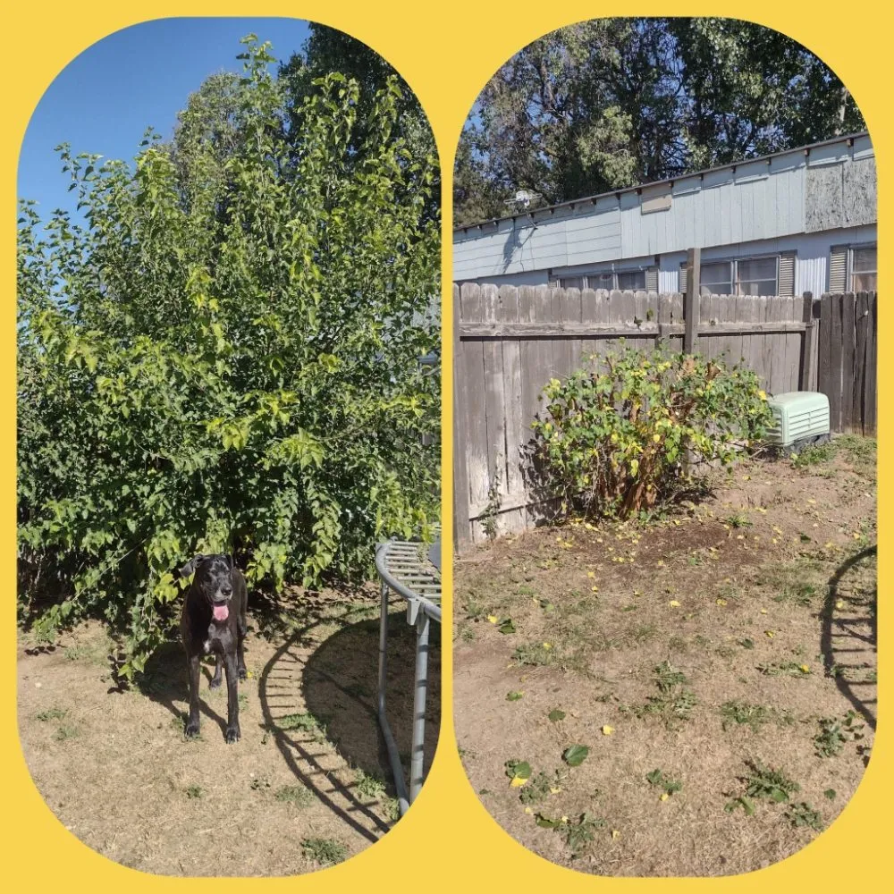 Expert landscaping services for outdoor upgrades in Meridian, ID by Ez Landscape And Maintenance