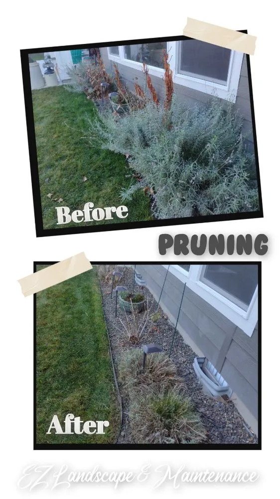 Reliable lawn mowing service in Meridian, ID - Ez Landscape And Maintenance