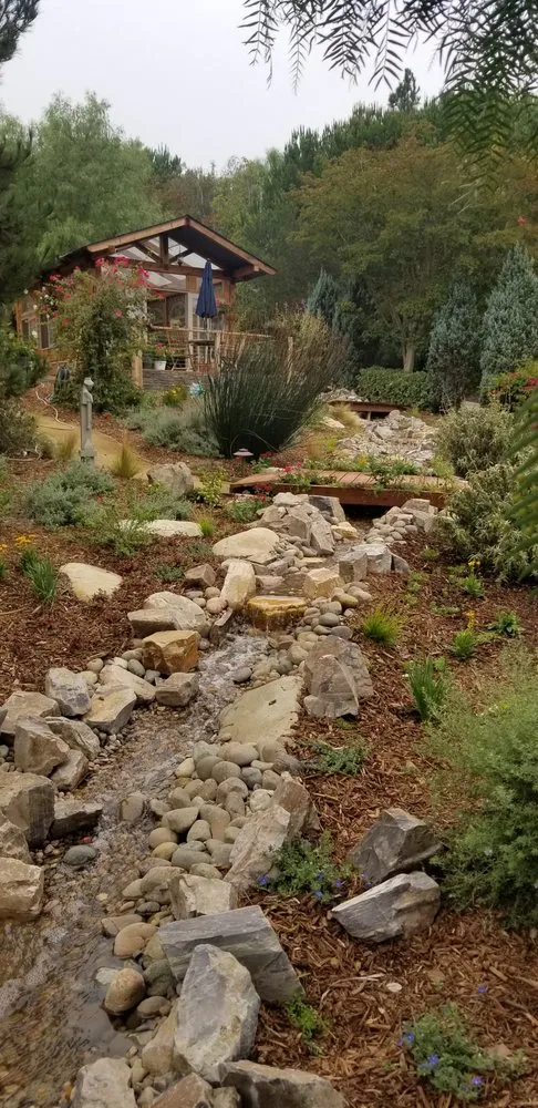 Trusted yard cleanup service experts serving Somis, CA - EZ Landscape Service