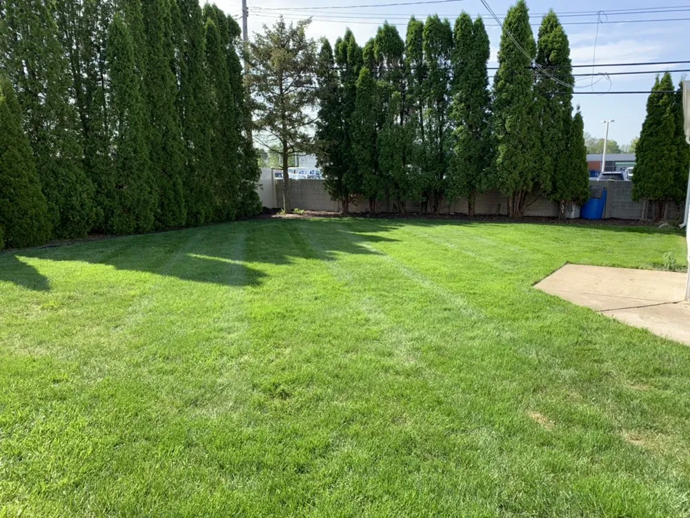 Top-rated yard maintenance experts serving Lincoln Park, MI - EZ Landscaping & Paving