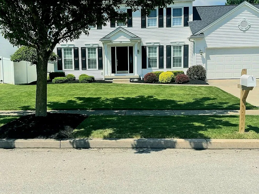 Top-rated yard cleanup service experts serving Depew, NY - EZ Landscaping