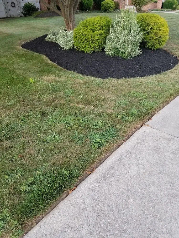 Local outdoor landscaping in Lower Paxton Township, PA - E&Z Landscaping