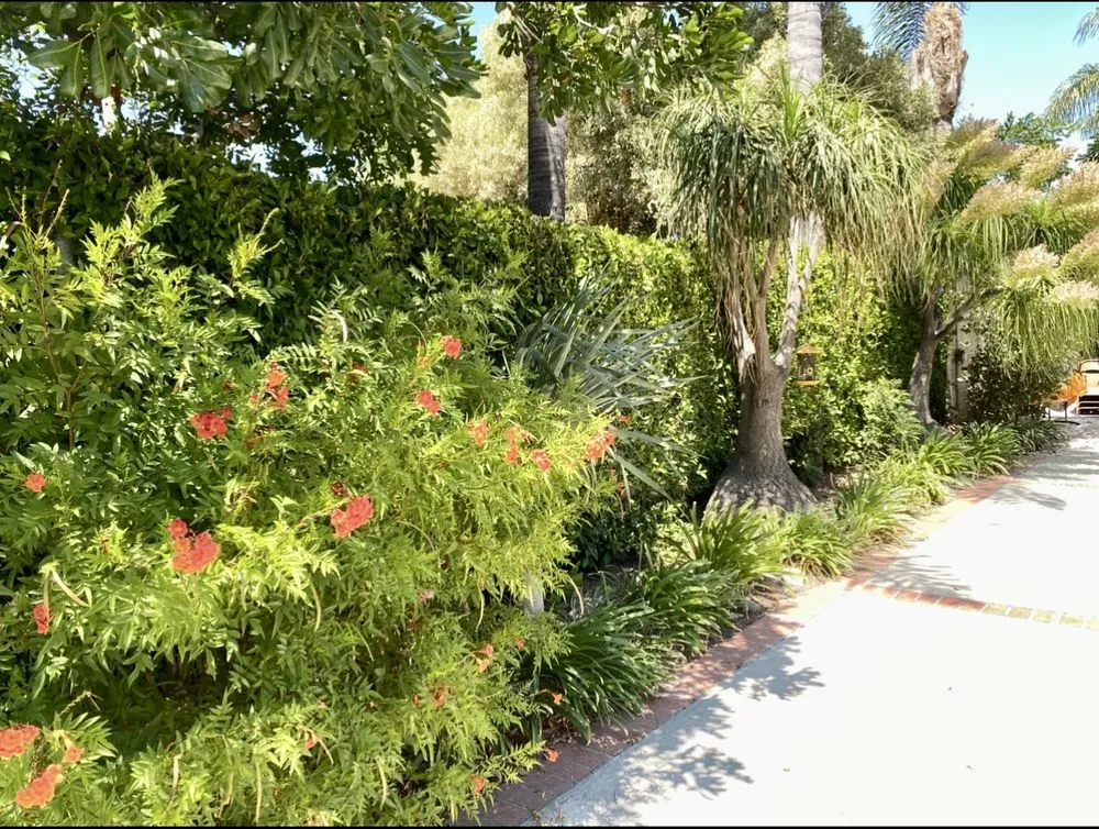 Local landscape design in Mission Hills, CA by EZ Landscaping