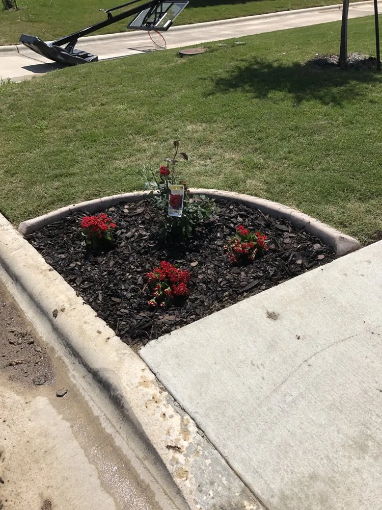 Reliable lawn care service in Temple, TX by EZ Landscaping