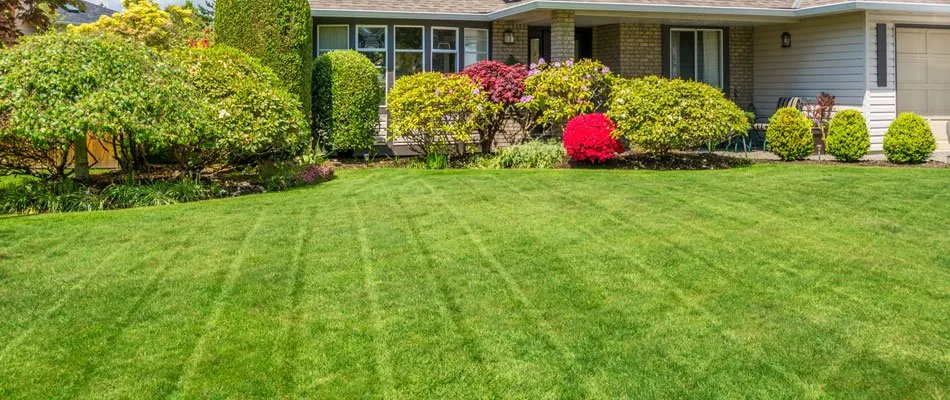 Expert garden landscaping in Winston-Salem, NC by EZ Landscaping