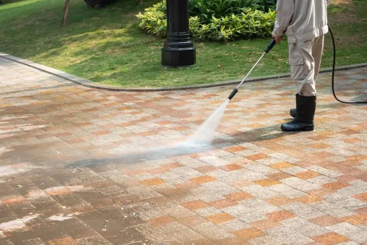 Custom outdoor landscaping for year-round maintenance in Winston-Salem, NC by EZ Landscaping