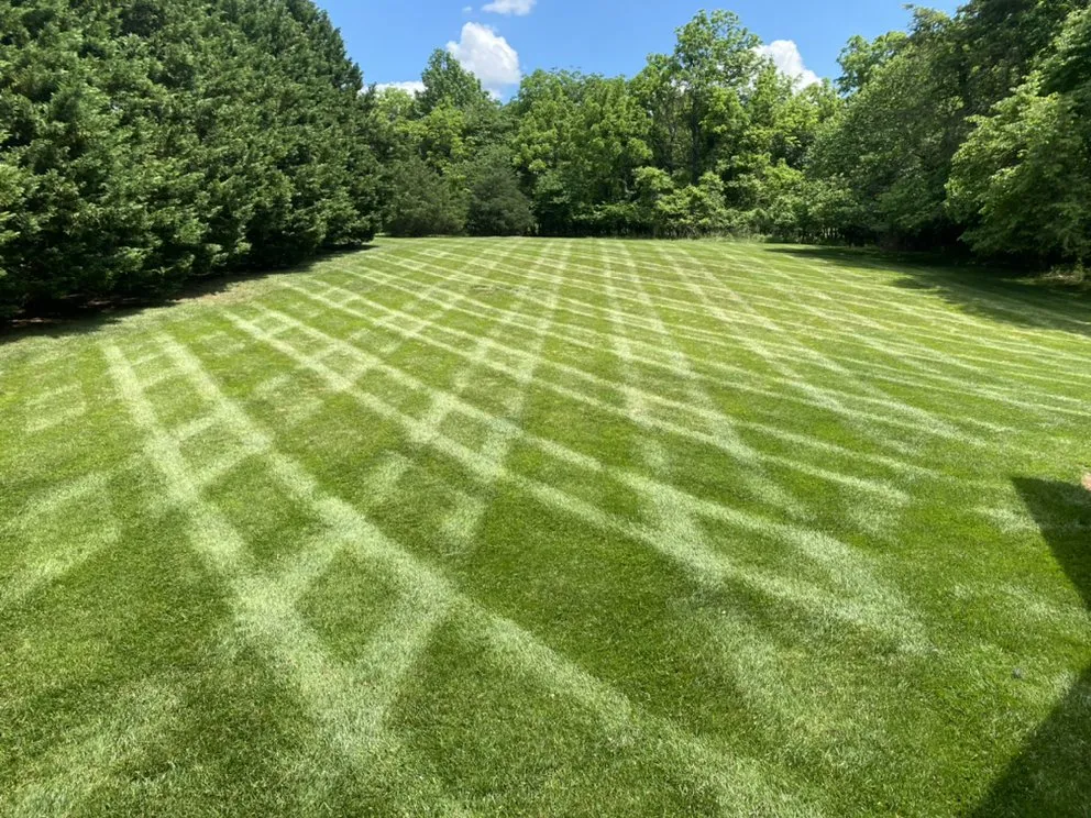 Reliable lawn care service with custom design in Rustburg, VA by EZ Lawn & Landscape