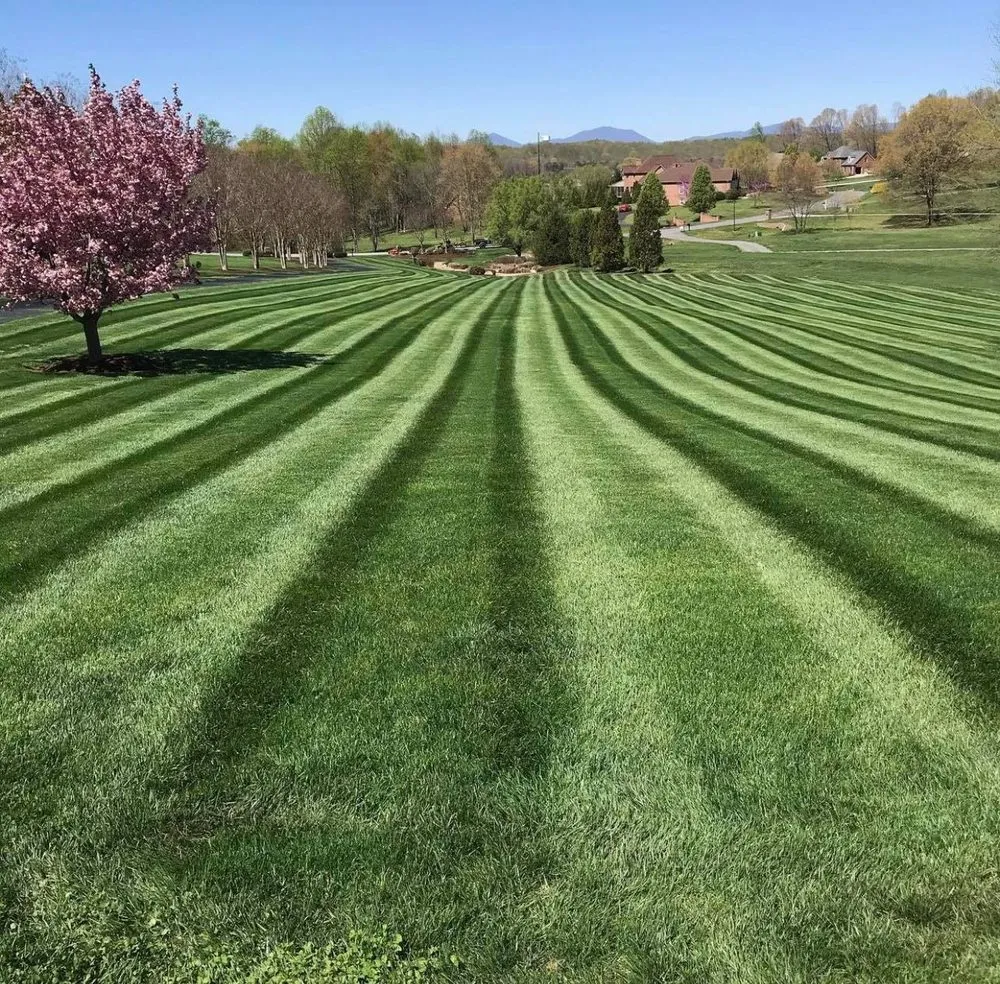 Reliable yard cleanup service experts serving Rustburg, VA - EZ Lawn & Landscape