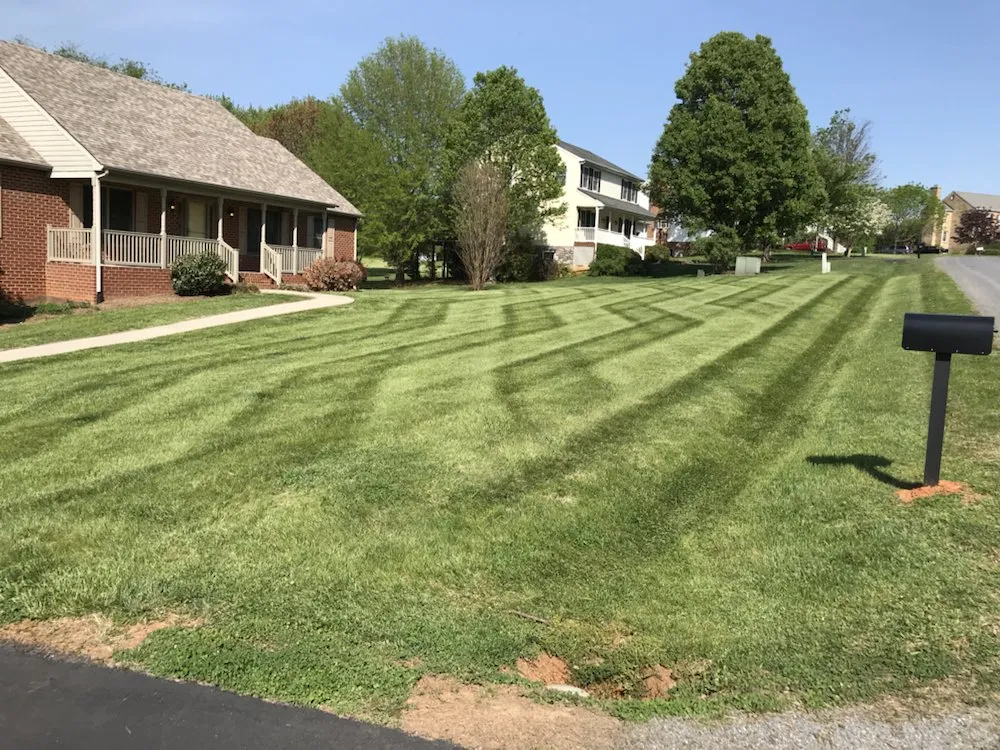Expert residential landscaping for year-round maintenance in Rustburg, VA by EZ Lawn & Landscape
