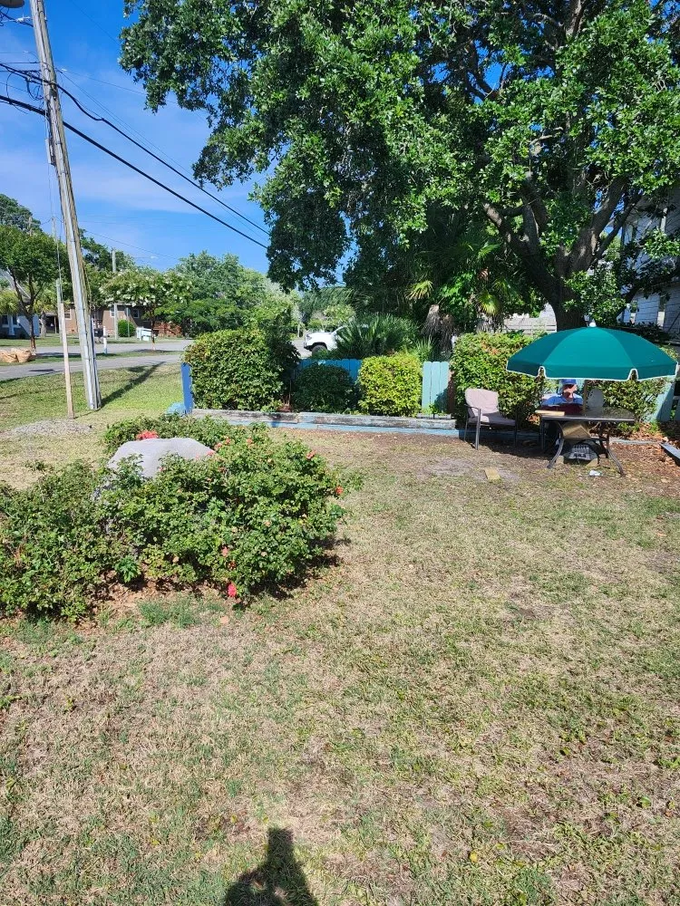 Custom yard cleanup service for residential properties across Wilmington, NC - EZ Lawn Care & More