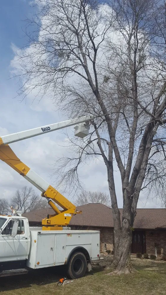 Reliable residential landscaping for outdoor upgrades across Wagoner, OK - EZ Lawn Care & Tree Service