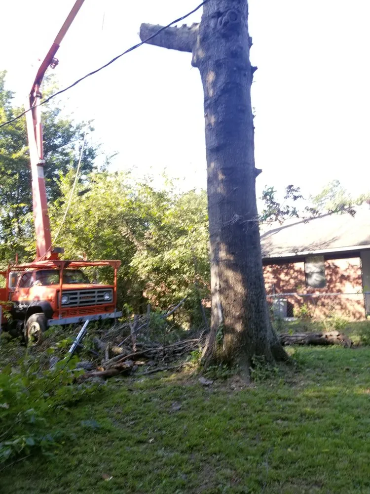 Trusted landscape installation in Wagoner, OK - EZ Lawn Care & Tree Service