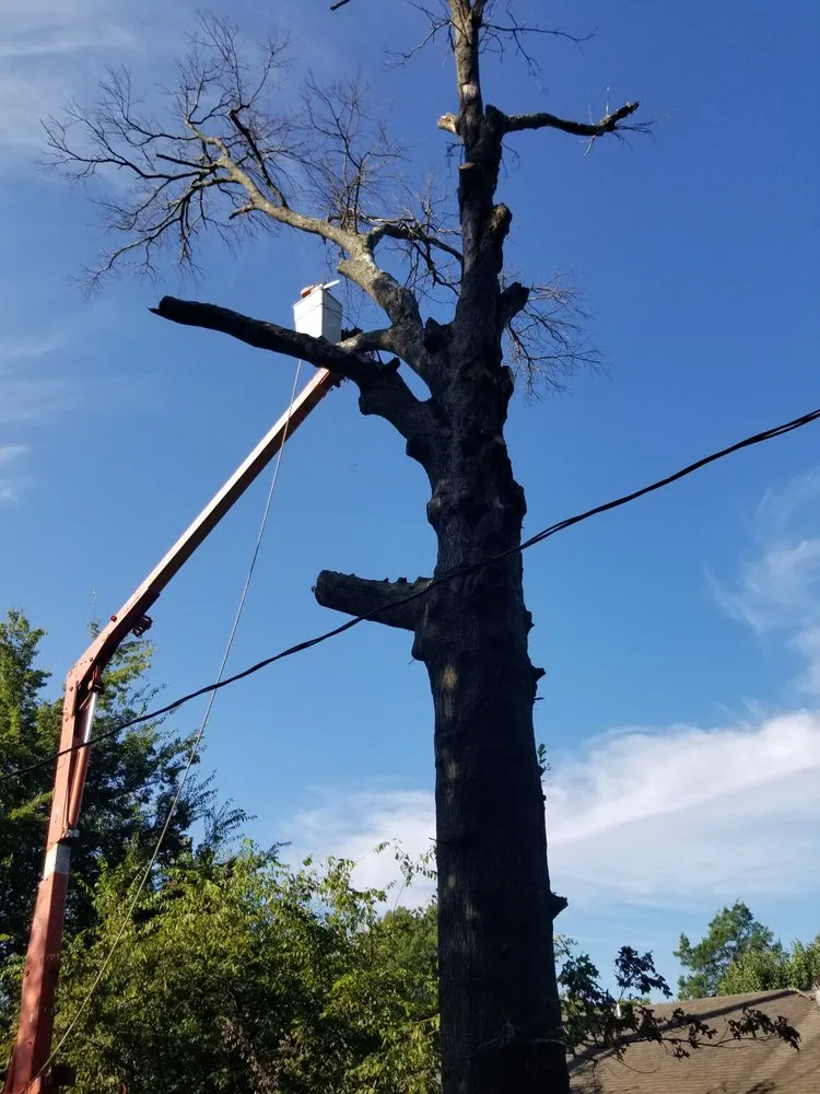 Top-rated yard cleanup service in Wagoner, OK - EZ Lawn Care & Tree Service