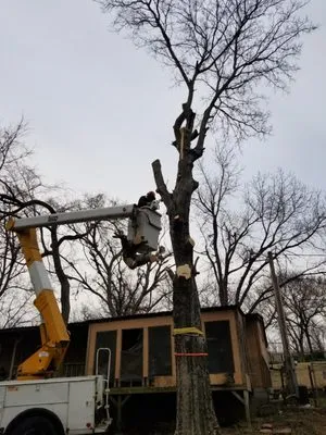 EZ Lawn Care & Tree Service