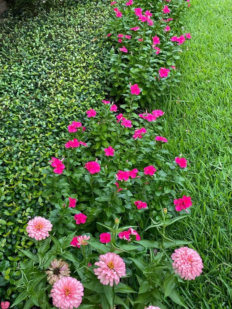 Local residential landscaping experts serving Houston, TX - EZ Lawn Care and Landscaping