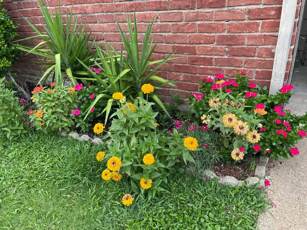 Expert garden landscaping in Houston, TX - EZ Lawn Care and Landscaping