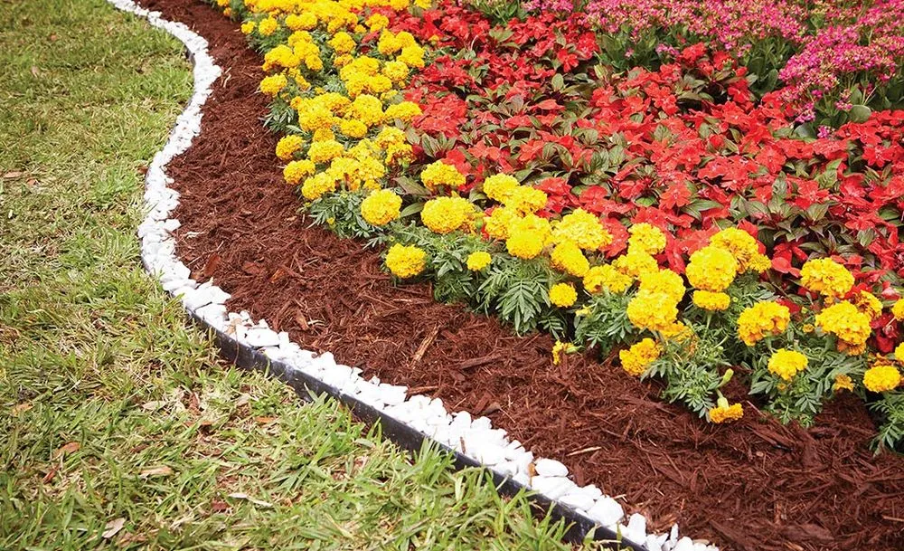 Trusted yard maintenance in Houston, TX - EZ Lawn Care and Landscaping