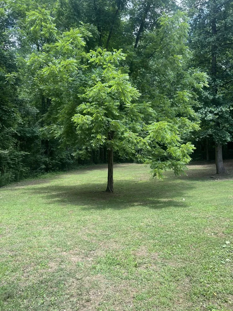 Expert lawn care service for year-round maintenance in Chatsworth, GA by EZ Lawn Care