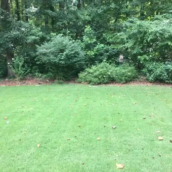 Custom yard maintenance experts serving Chatsworth, GA - EZ Lawn Care