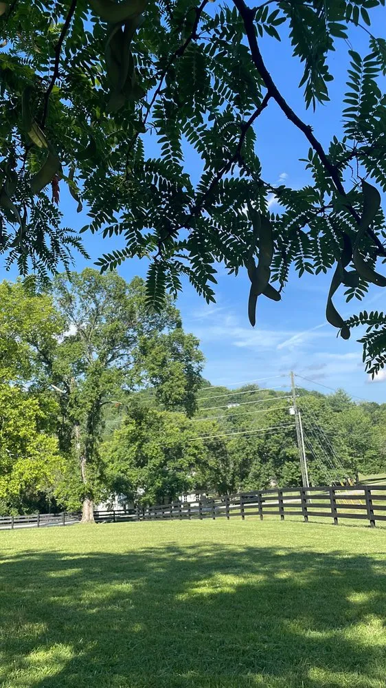 Local residential landscaping in Columbia, TN by Ez Lawn Care