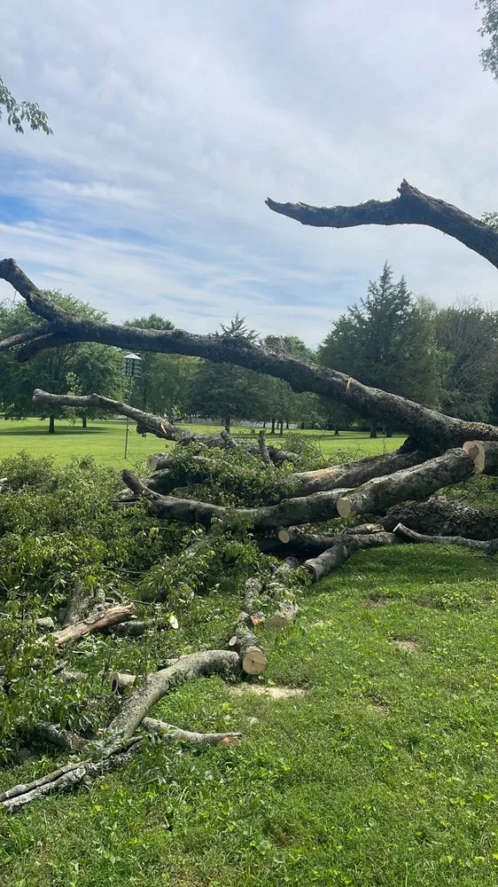 Custom landscaping services experts serving Columbia, TN - Ez Lawn Care