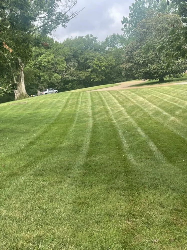 Top-rated residential landscaping in Columbia, TN - Ez Lawn Care