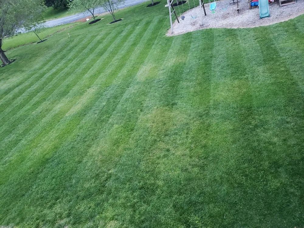 Expert yard cleanup service experts serving Greencastle, PA - EZ Lawn Care