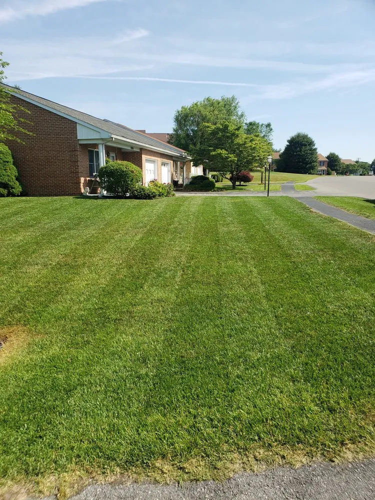 Custom yard cleanup service experts serving Greencastle, PA - EZ Lawn Care
