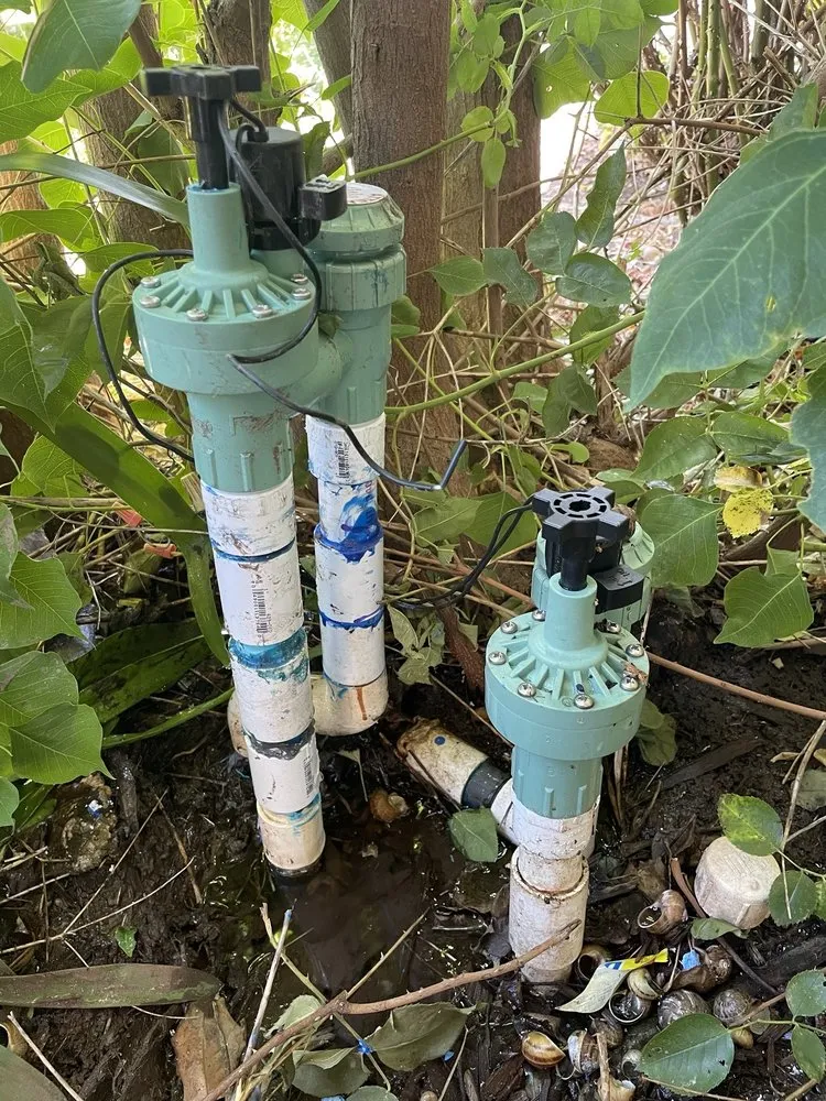 Affordable yard cleanup service experts serving Florin, CA - Ez Lawn Landscape