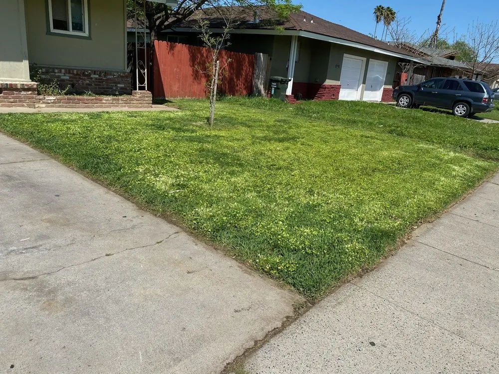 Custom landscaping services for beautiful yards in Florin, CA by Ez Lawn Landscape