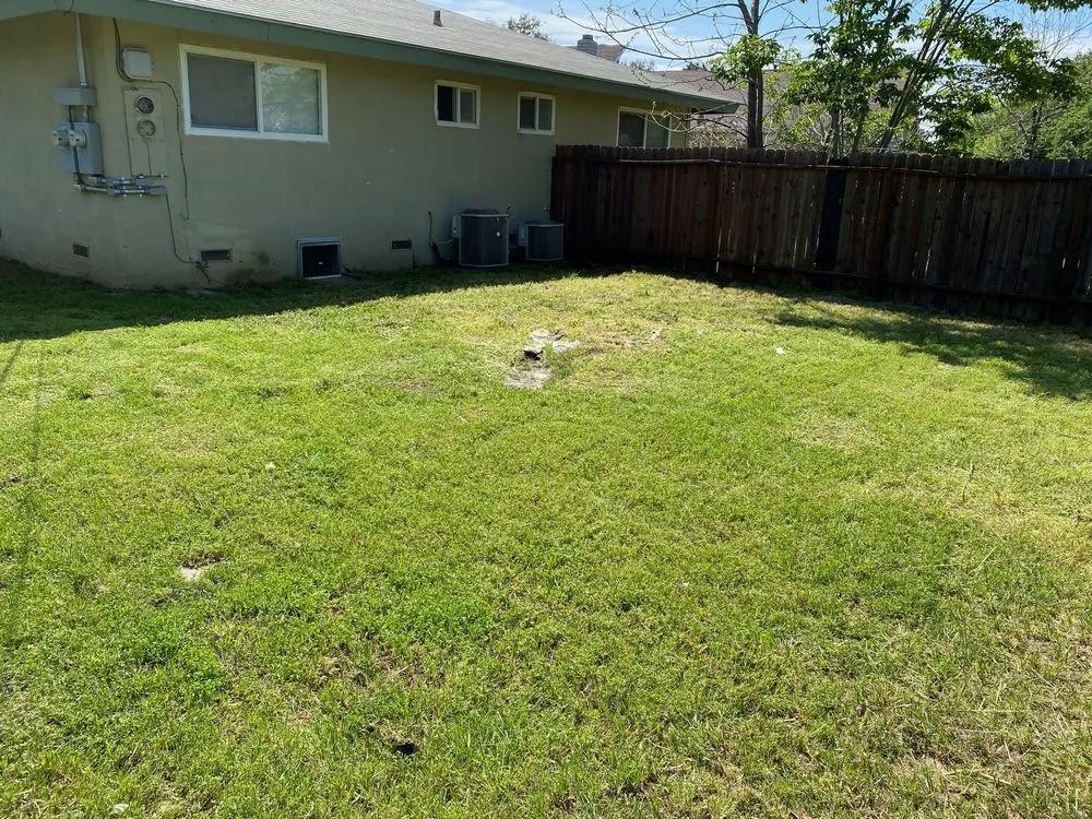 Trusted yard maintenance experts serving Florin, CA - Ez Lawn Landscape