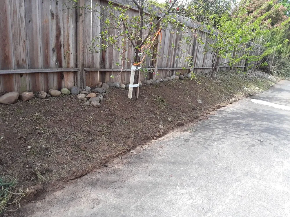 Custom yard cleanup service for residential properties across Florin, CA - Ez Lawn Landscape
