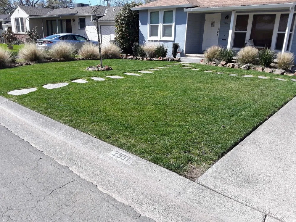 Expert yard cleanup service in Florin, CA by Ez Lawn Landscape