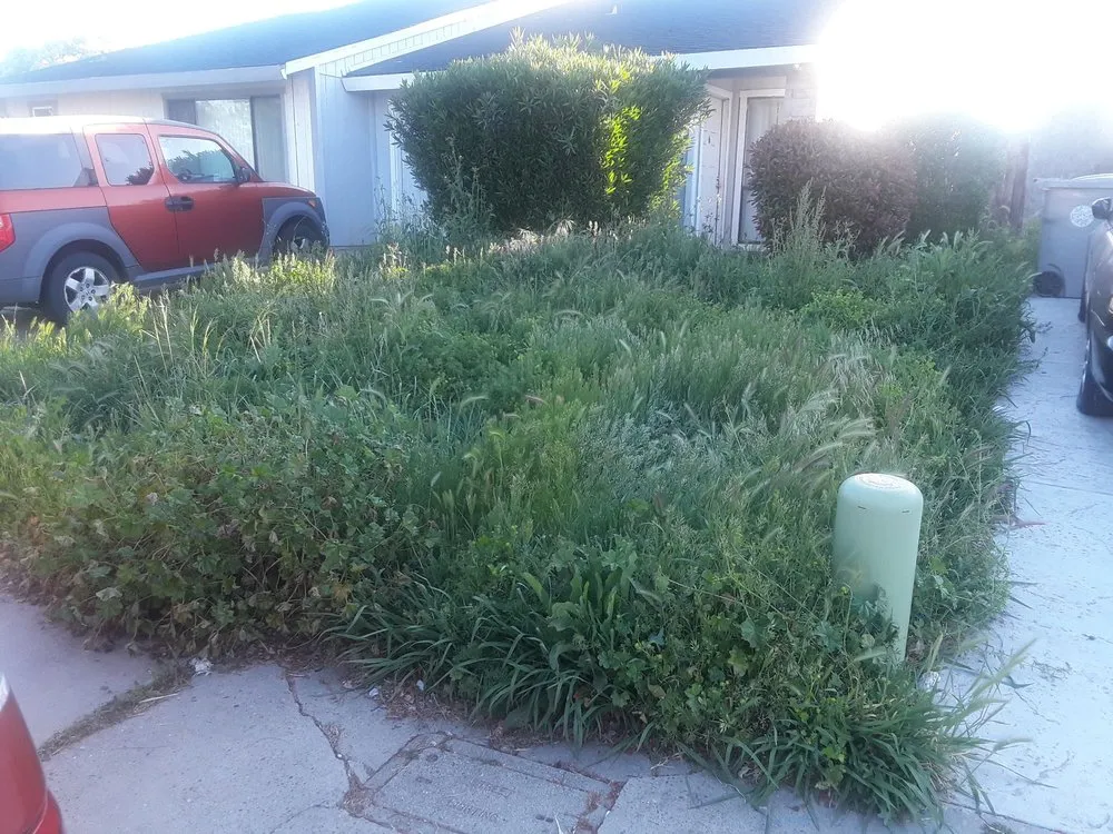 Top-rated landscaping services in Florin, CA - Ez Lawn Landscape