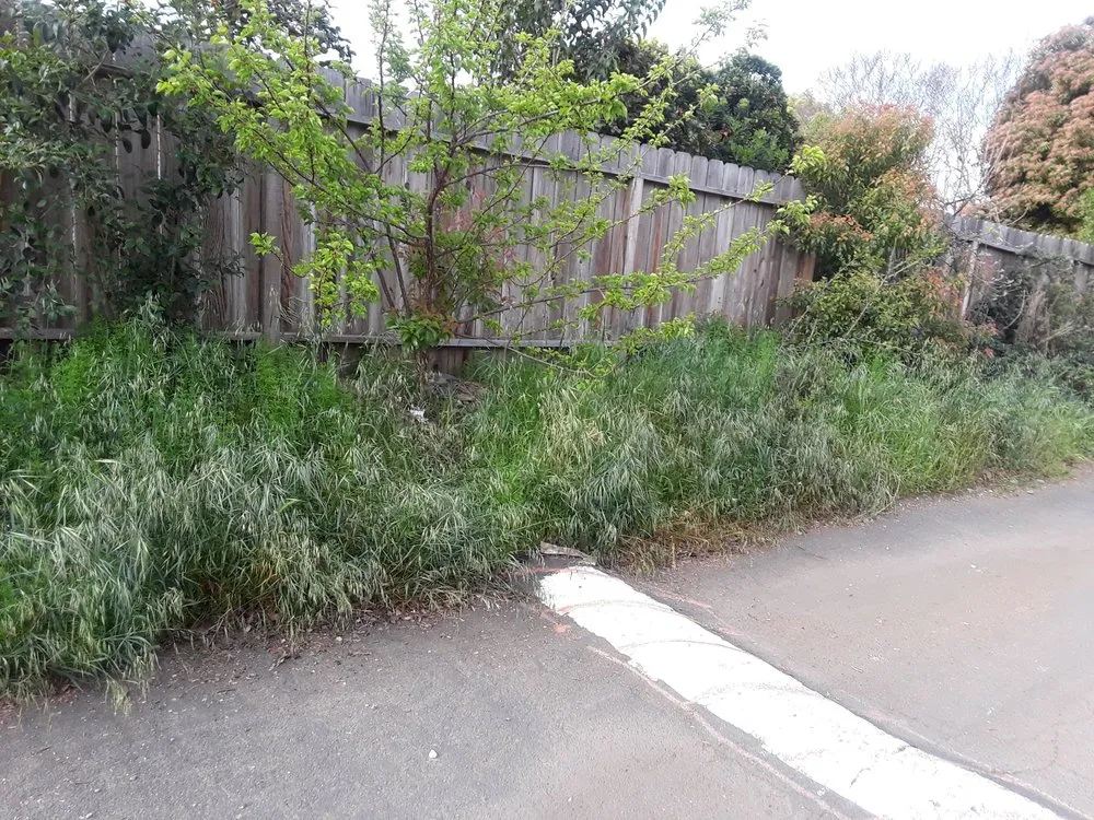 Expert lawn mowing service in Florin, CA - Ez Lawn Landscape