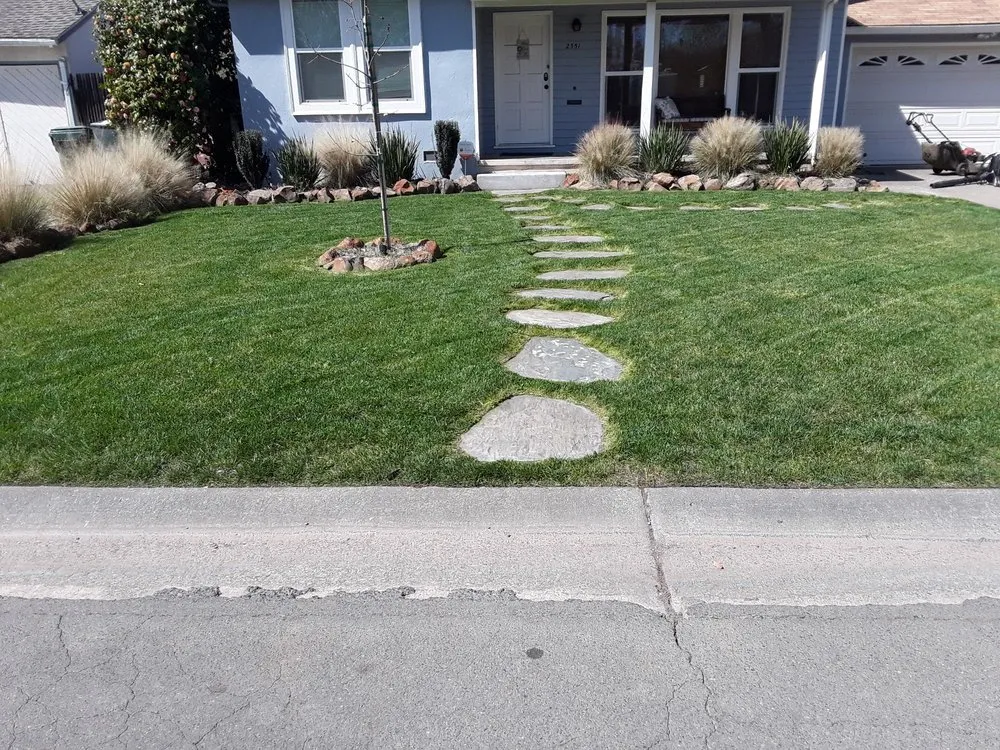 Local landscape installation for year-round maintenance across Florin, CA - Ez Lawn Landscape