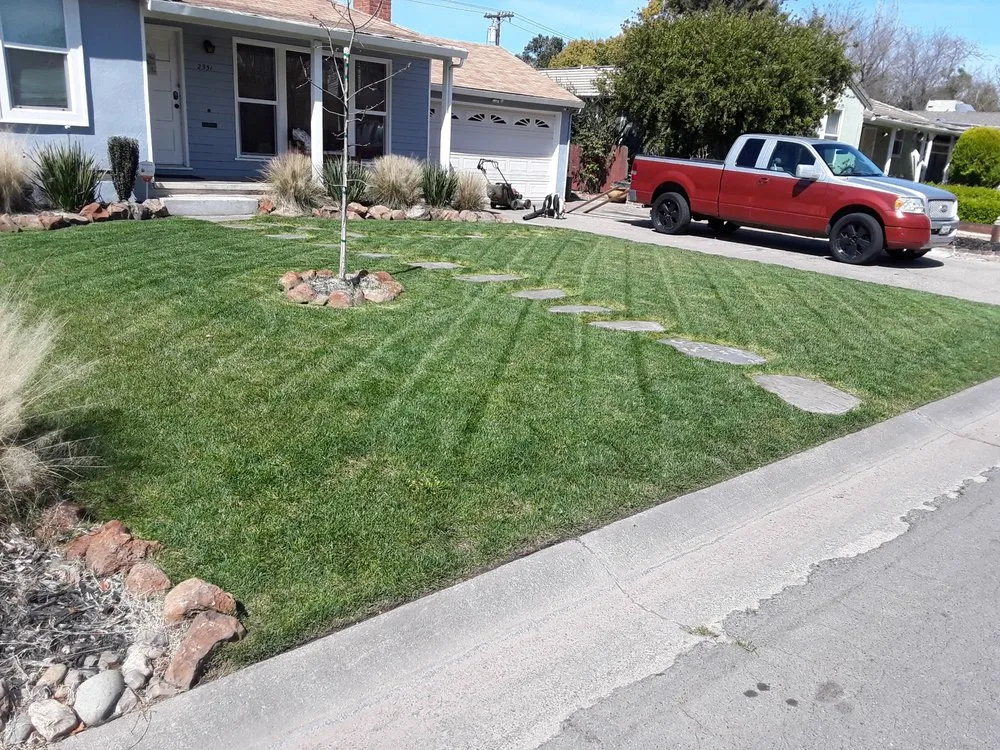 Custom yard maintenance in Florin, CA by Ez Lawn Landscape