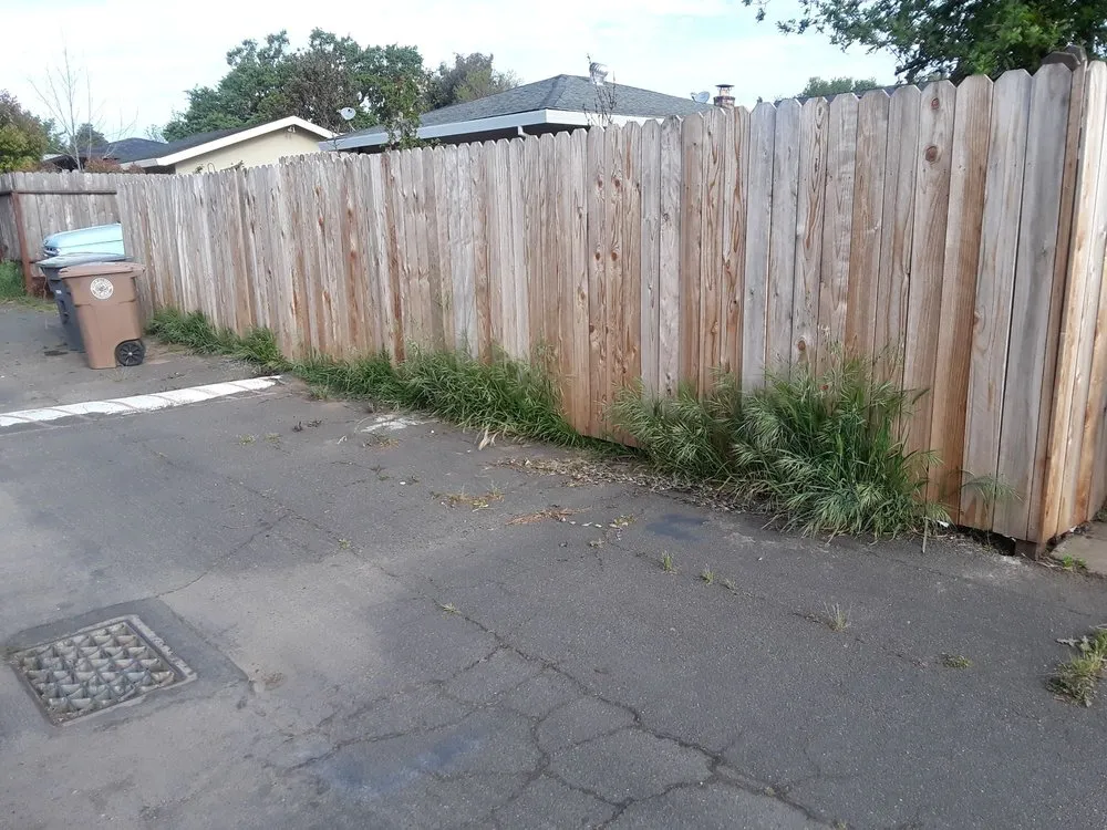 Top-rated yard cleanup service in Florin, CA - Ez Lawn Landscape