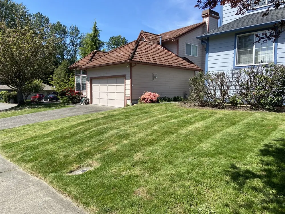 Custom landscape installation in Seattle, WA by Ez Lawn Service