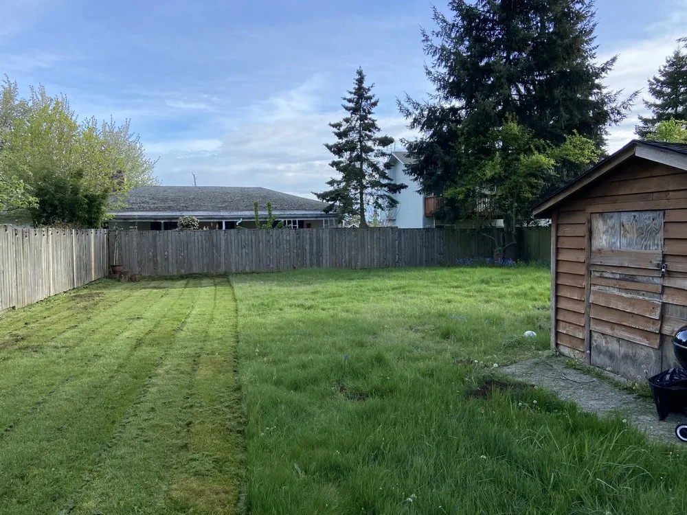 Top-rated landscape installation experts serving Seattle, WA - Ez Lawn Service