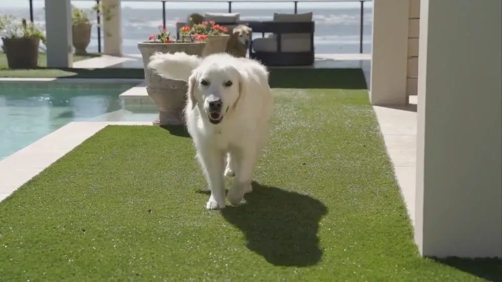 Top-rated landscape design in Tampa, FL - EZ Lawn Synthetic Turf