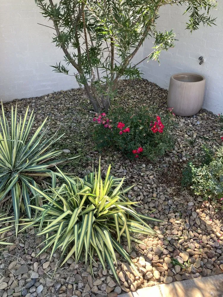 Expert yard maintenance for homes in Lubbock, TX by EZ Lawncare