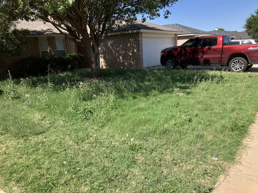 Trusted yard cleanup service for year-round maintenance in Lubbock, TX by EZ Lawncare