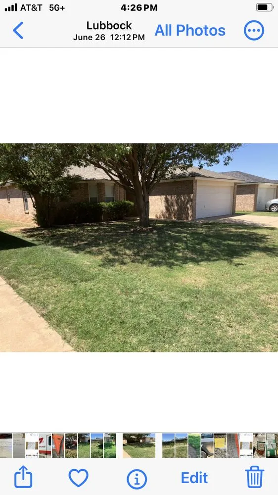 Affordable yard cleanup service in Lubbock, TX by EZ Lawncare