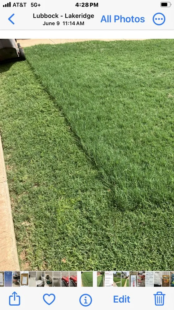 Affordable yard maintenance near you across Lubbock, TX - EZ Lawncare