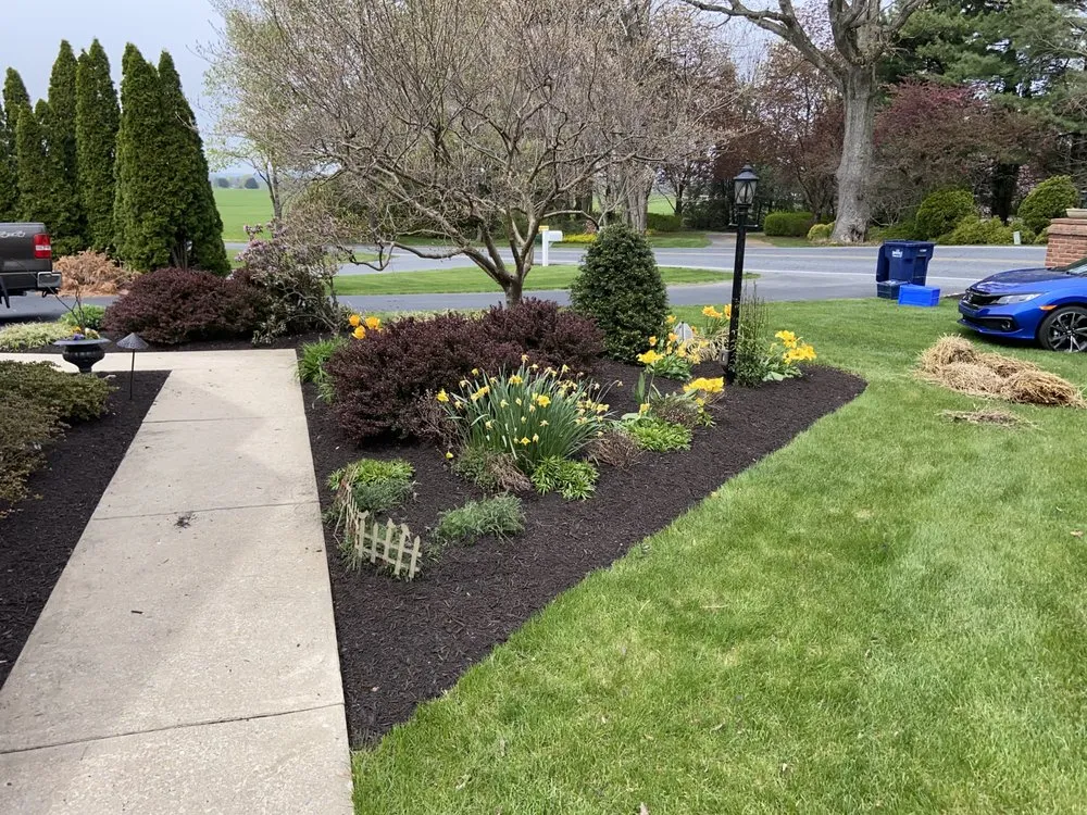 Trusted yard cleanup service experts serving Reading, PA - E&Z Lawncare