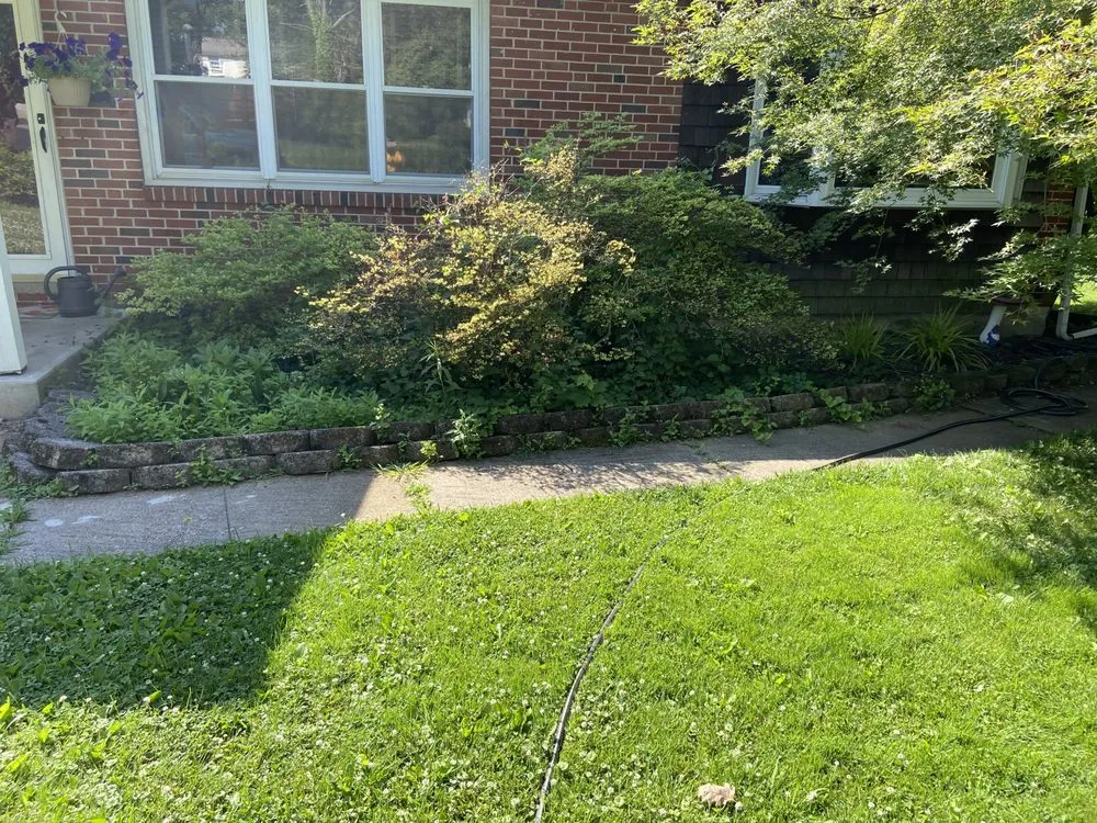 Local yard cleanup service for beautiful yards across Reading, PA - E&Z Lawncare